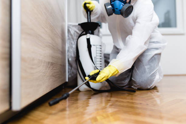 Best Flea Control Services  in Caro, MI