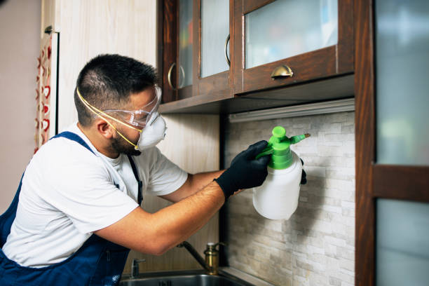 Best Cockroach Control Services  in Caro, MI