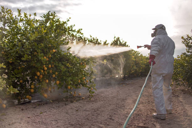 Trusted Caro, MI Pest Control Experts