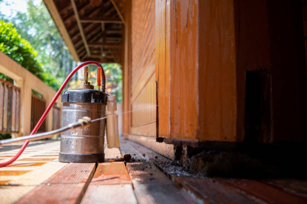 Best Ant Control Services  in Caro, MI