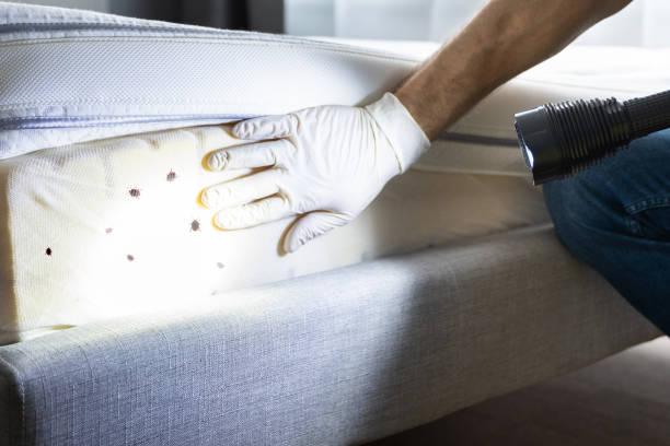 Best Best Pest Control Companies  in Caro, MI