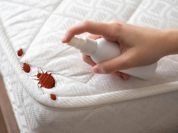 Best Pest Inspection Near Me  in Caro, MI