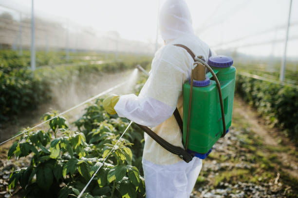 Best Affordable Exterminators  in Caro, MI